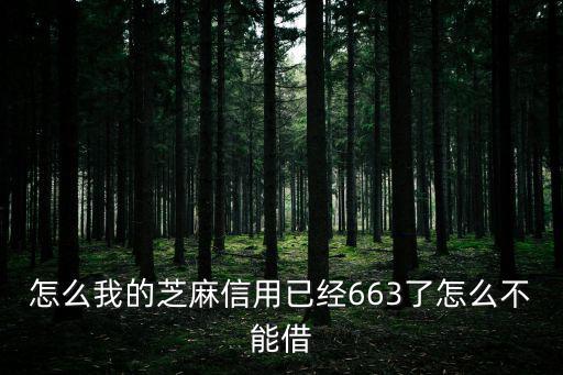 怎么我的芝麻信用已經(jīng)663了怎么不能借