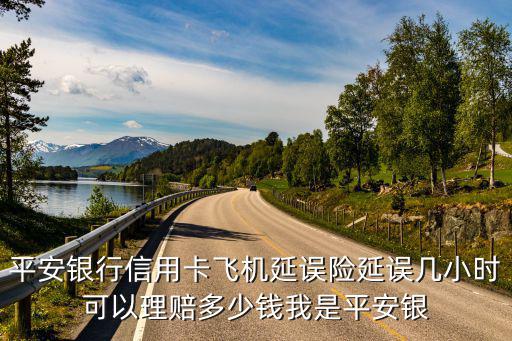平安銀行信用卡飛機(jī)延誤險(xiǎn)延誤幾小時可以理賠多少錢我是平安銀