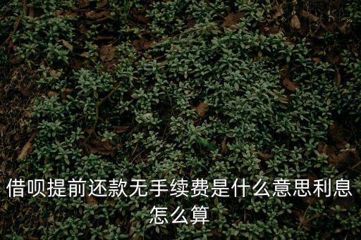 螞蟻借唄沒有利息怎么算利息，借唄提前還款無手續(xù)費是什么意思利息怎么算