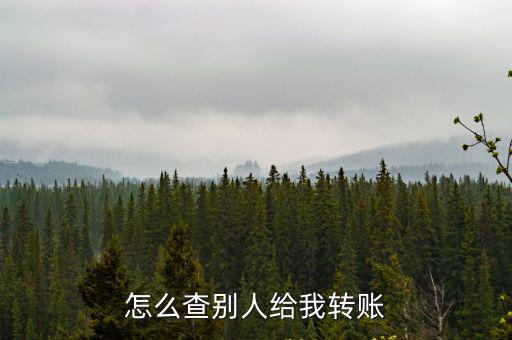 別人給我轉(zhuǎn)賬怎么查詢，怎么查詢對方是否給我轉(zhuǎn)賬