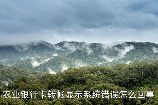 農(nóng)業(yè)銀行卡轉(zhuǎn)帳顯示系統(tǒng)錯(cuò)誤怎么回事