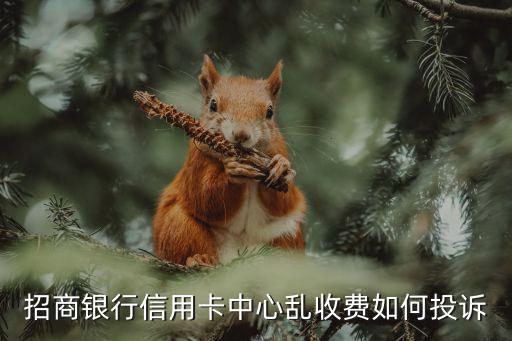 怎么投訴招商信用卡中心，招行信用卡部有個(gè)騙子業(yè)務(wù)員我想投訴他怎么投訴