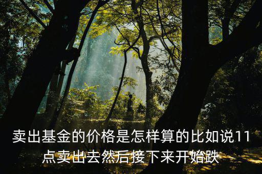賣出基金的價格是怎樣算的比如說11點賣出去然后接下來開始跌