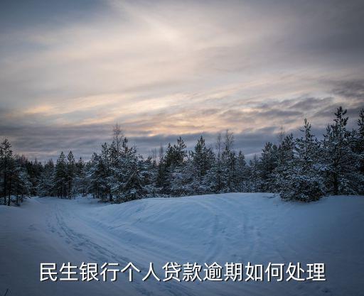 民生銀行個(gè)人貸款逾期如何處理