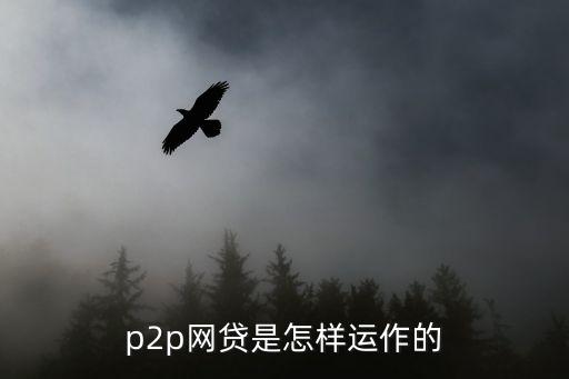 p2p網(wǎng)貸是怎樣運作的