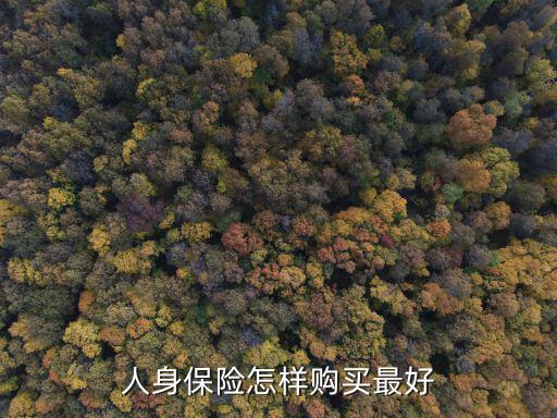怎么樣買年金保險，人身保險怎樣購買最好