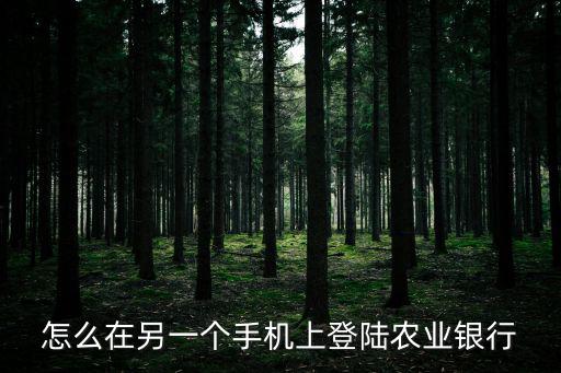 怎么在另一個(gè)手機(jī)上登陸農(nóng)業(yè)銀行