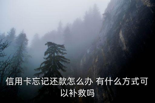 信用卡忘記還款怎么辦 有什么方式可以補(bǔ)救嗎