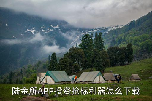 陸金所安卓搶怎么開，陸金所軟件怎么打不開