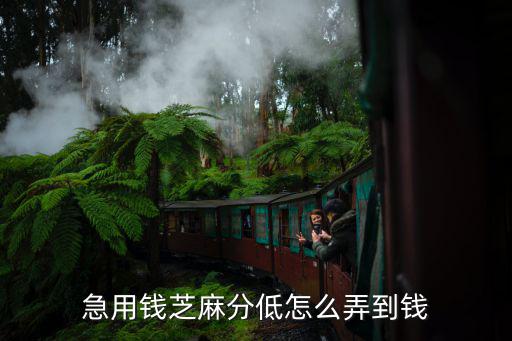 急用錢芝麻分低怎么弄到錢