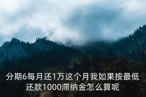 廣發(fā)還款滯納金怎么算的，分期6每月還1萬(wàn)這個(gè)月我如果按最低還款1000滯納金怎么算呢
