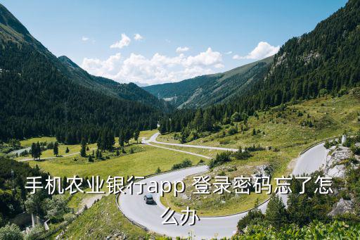 手機農業(yè)銀行app 登錄密碼忘了怎么辦