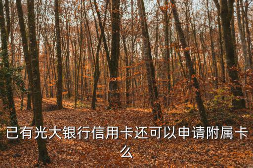已有光大銀行信用卡還可以申請(qǐng)附屬卡么