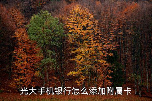 光大附屬卡怎么辦，已有光大銀行信用卡還可以申請附屬卡么