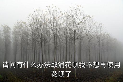 如果淘寶花唄不想用了怎么辦，剛剛用螞蟻花唄買東西了現(xiàn)在不想要了怎么辦