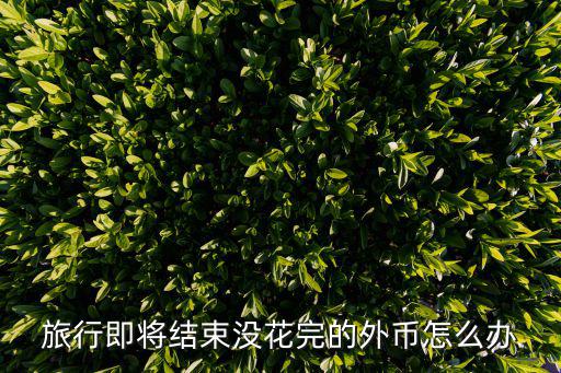 沒花完的外幣怎么處理方法，泰銖沒花完回國怎么處理