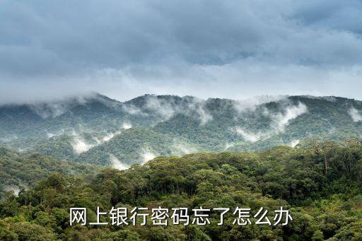 網(wǎng)上銀行密碼忘了怎么辦