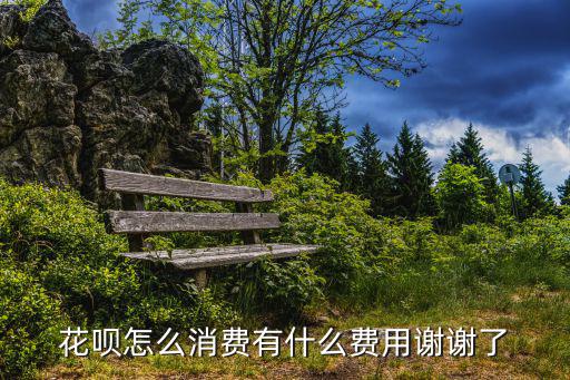 花唄怎么收取費用，花唄怎樣收費