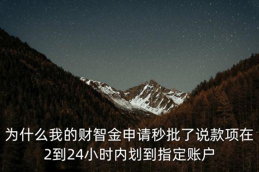 為什么我的財(cái)智金申請(qǐng)秒批了說(shuō)款項(xiàng)在2到24小時(shí)內(nèi)劃到指定賬戶