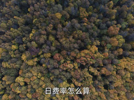 日費率怎么算
