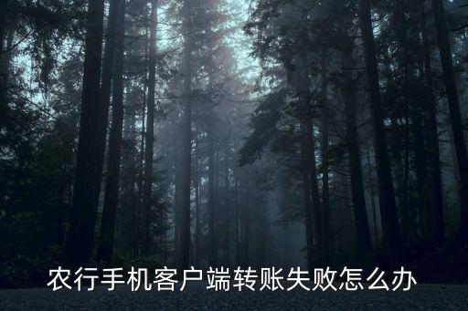 農(nóng)行手機(jī)客戶端轉(zhuǎn)賬失敗怎么辦