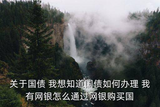 關(guān)于國(guó)債 我想知道國(guó)債如何辦理 我有網(wǎng)銀怎么通過(guò)網(wǎng)銀購(gòu)買國(guó)