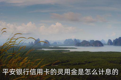 申請(qǐng)靈用金怎么使用說明，為什么一帳通上面申請(qǐng)不了靈用金