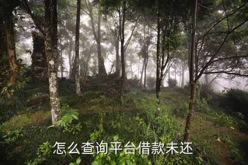 點(diǎn)融貸款逾期怎么查詢，點(diǎn)融極貸查征信嗎