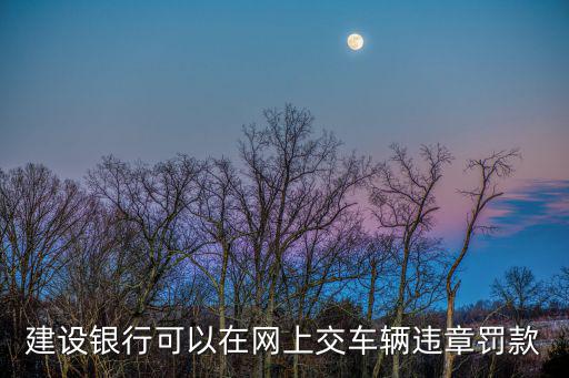 建設(shè)銀行可以在網(wǎng)上交車輛違章罰款