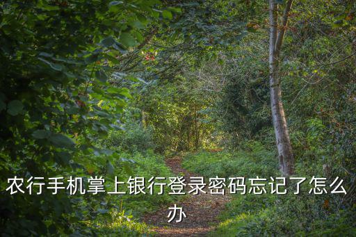 農(nóng)行手機(jī)掌上銀行登錄密碼忘記了怎么辦