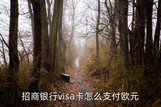 visa card 怎么付款，用VISA卡怎么匯款到美國