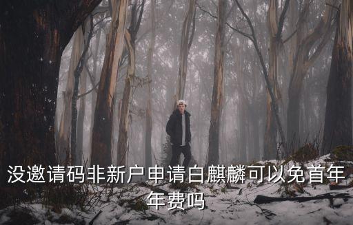 沒邀請碼非新戶申請白麒麟可以免首年年費嗎