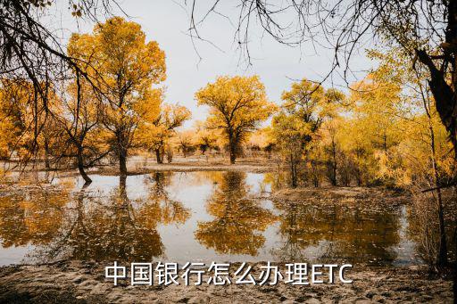 江蘇中國銀行etc怎么辦理流程，中國銀行etc怎么辦理