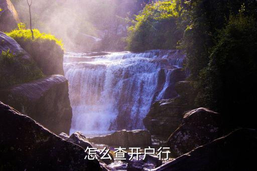 怎么查開(kāi)戶(hù)行