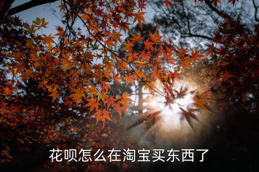 花唄在淘寶怎么買東西啊，怎么在淘寶網(wǎng)用花唄買東西