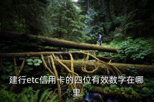 建行etc信用卡的四位有效數(shù)字在哪里