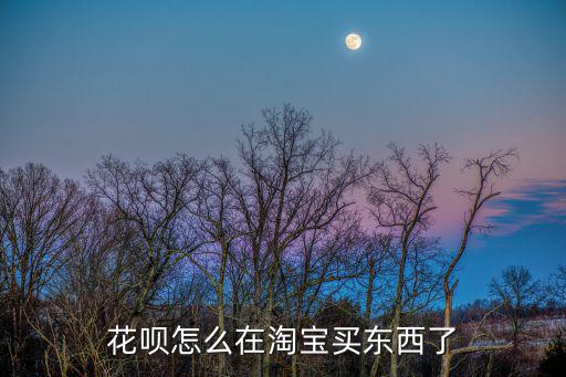 花唄怎么在淘寶買東西了