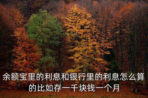余額寶里的利息和銀行里的利息怎么算的比如存一千塊錢一個月