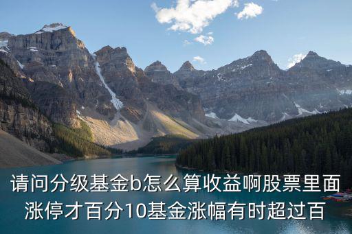 分級基金b怎么收益率，請問分級基金b怎么算收益啊股票里面漲停才百分10基金漲幅有時