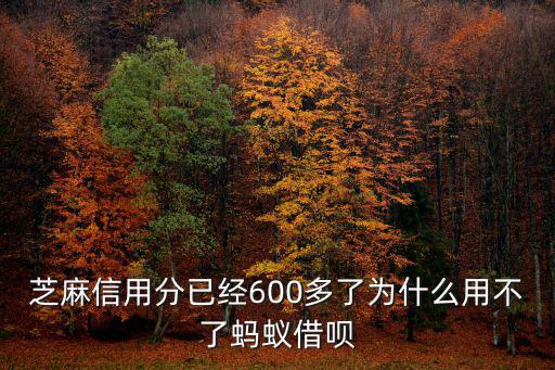 芝麻信用分已經(jīng)600多了為什么用不了螞蟻借唄