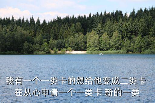有一個(gè)一類卡怎么辦，信用卡算一類賬戶工資卡怎么辦