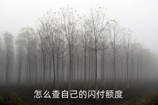 閃付卡怎么查余額，我的是 中國農(nóng)業(yè)銀行 閃付卡 怎么查詢余額