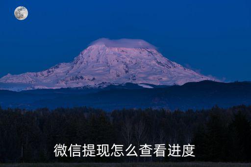怎么看微信提現(xiàn)了多少時間段，微信提現(xiàn)怎么查看進度