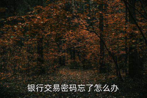 企業(yè)銀行交易密碼忘了怎么辦，請(qǐng)問(wèn)交易密碼不記得了要怎么處理