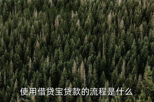 借寶貸怎么借款，借貸寶真的可以貸款嗎怎么操作