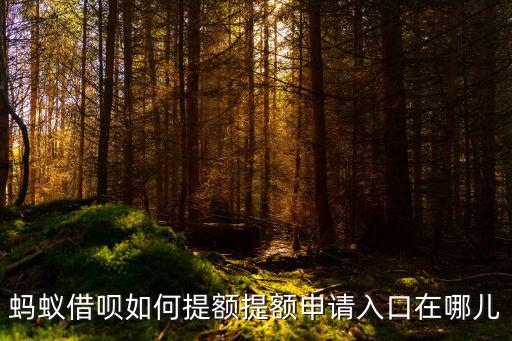 借唄怎么到萬3，螞蟻借唄為何之前是萬3現(xiàn)在變成萬4了