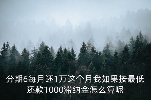 分期6每月還1萬這個(gè)月我如果按最低還款1000滯納金怎么算呢