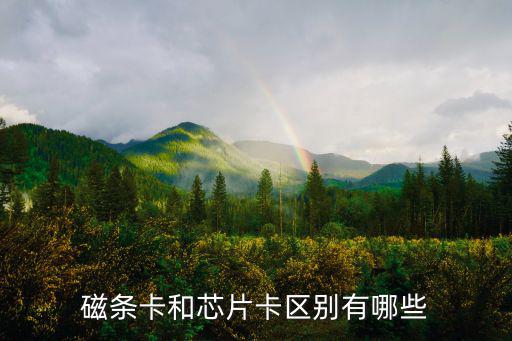 磁條卡和芯片卡區(qū)別有哪些