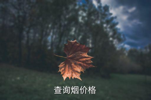 查詢煙價格