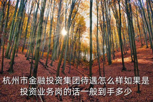 杭州市金融投資集團待遇怎么樣如果是投資業(yè)務(wù)崗的話一般到手多少